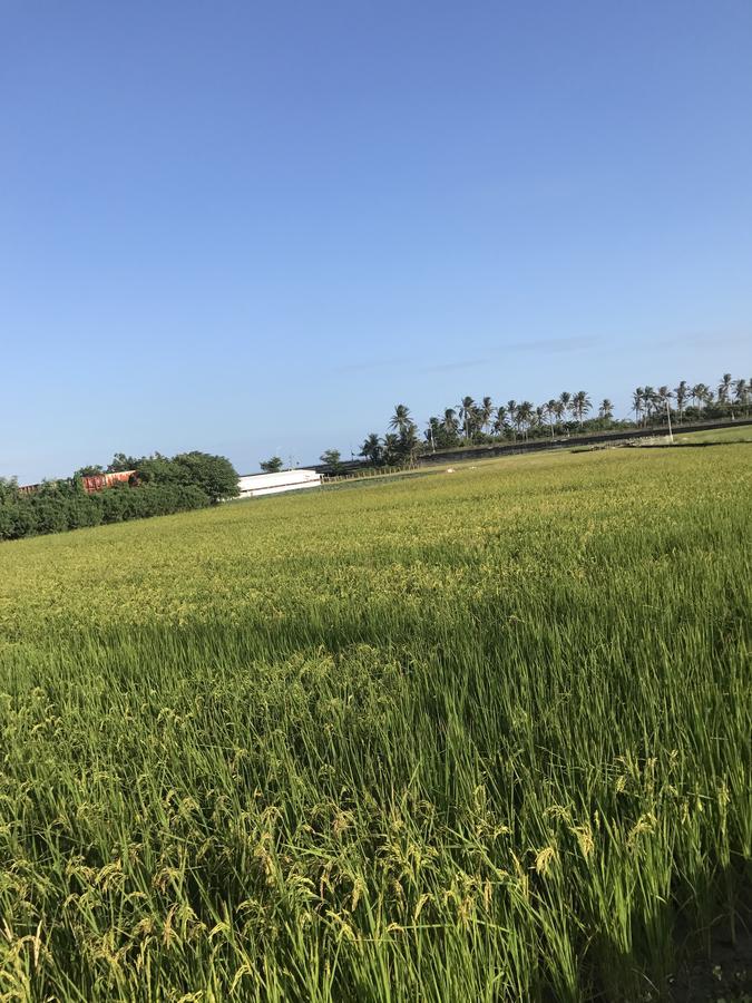 شقة Cozy Life Taitung المظهر الخارجي الصورة